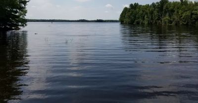 Moose Lake Recreation Area Campground