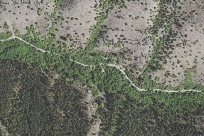 Spring Campground