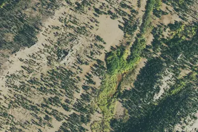 U.S. Forest Service Site 3