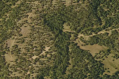 Fr 195 Campground