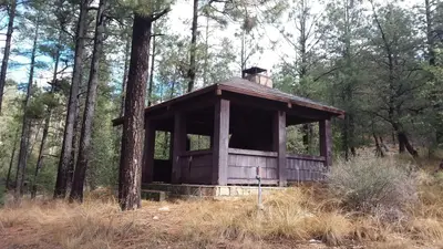 Turney Gulch Group