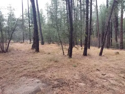 Turney Gulch Camping Area with Picnic Table and Fire Pit