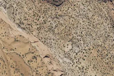 Camp site