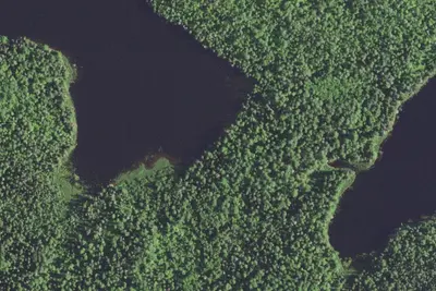 Pauline Lake Site 1