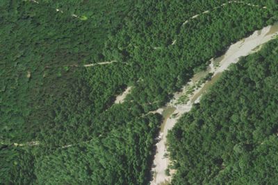 Bay Creek Campsite