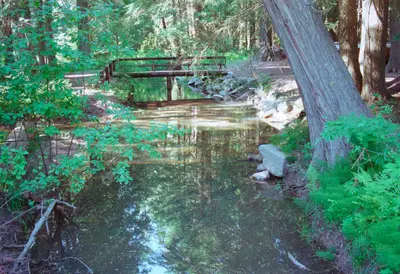 00-09-14, bridge over stream - panoramio
