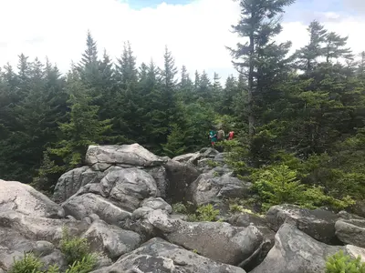 Dolly Sods - July 2019 - 28