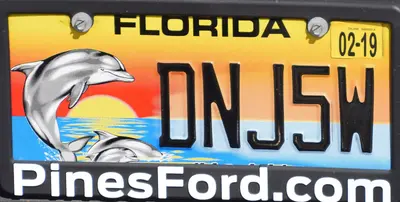 Florida 2019 Protect Wild Dolphins license plate