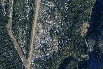 Lodgepole Campground