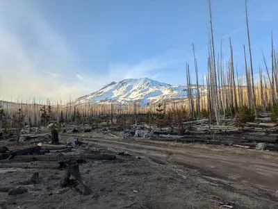 Morrison Creek campground (6 May 2025) (36391)