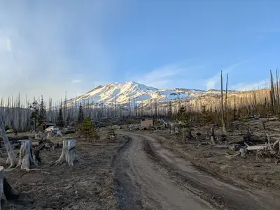 Morrison Creek campground (6 May 2025) (38648)