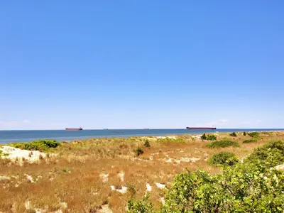 First Landing State Park looking towards Chesapeake Bay entrance - panoramio