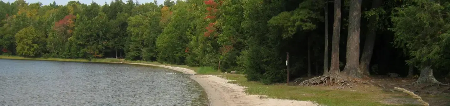 Spectacle Lake Beach