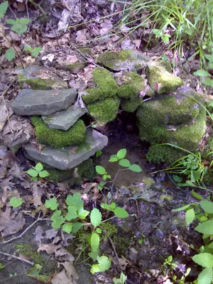 FLT M09 1.12 mi - Covered spring at bivouac area - panoramio