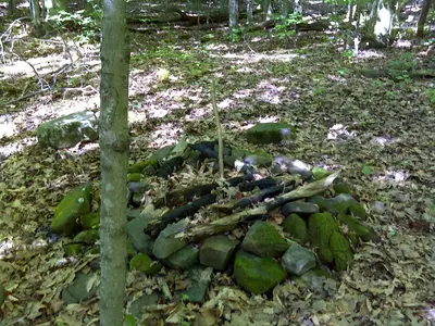 FLT M09 1.11 mi - Bivouac area on blue trail - panoramio