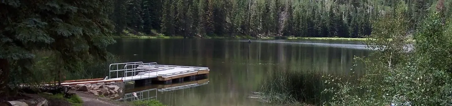 Fishing Dock on Posey Lake