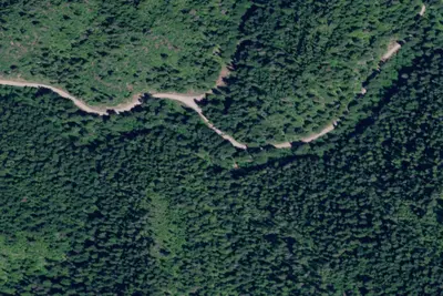 Rd 437 Site 14