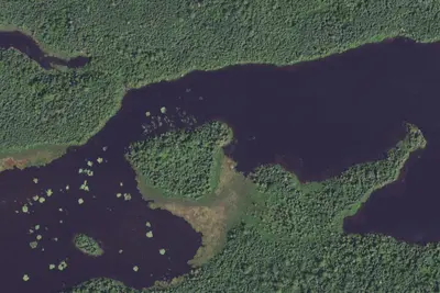 Crocodile Lake #1