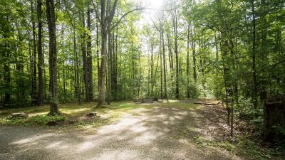 Blueberry Patch Campground