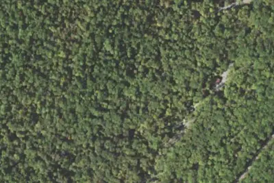 Camp site