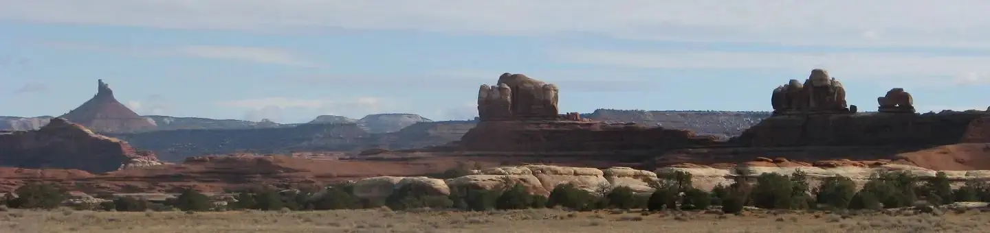 View of Canyonlands National Park Needles District