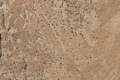 Designated Campsite