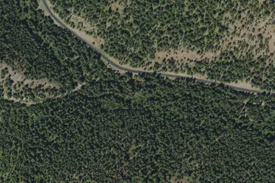 Primitive Campsite