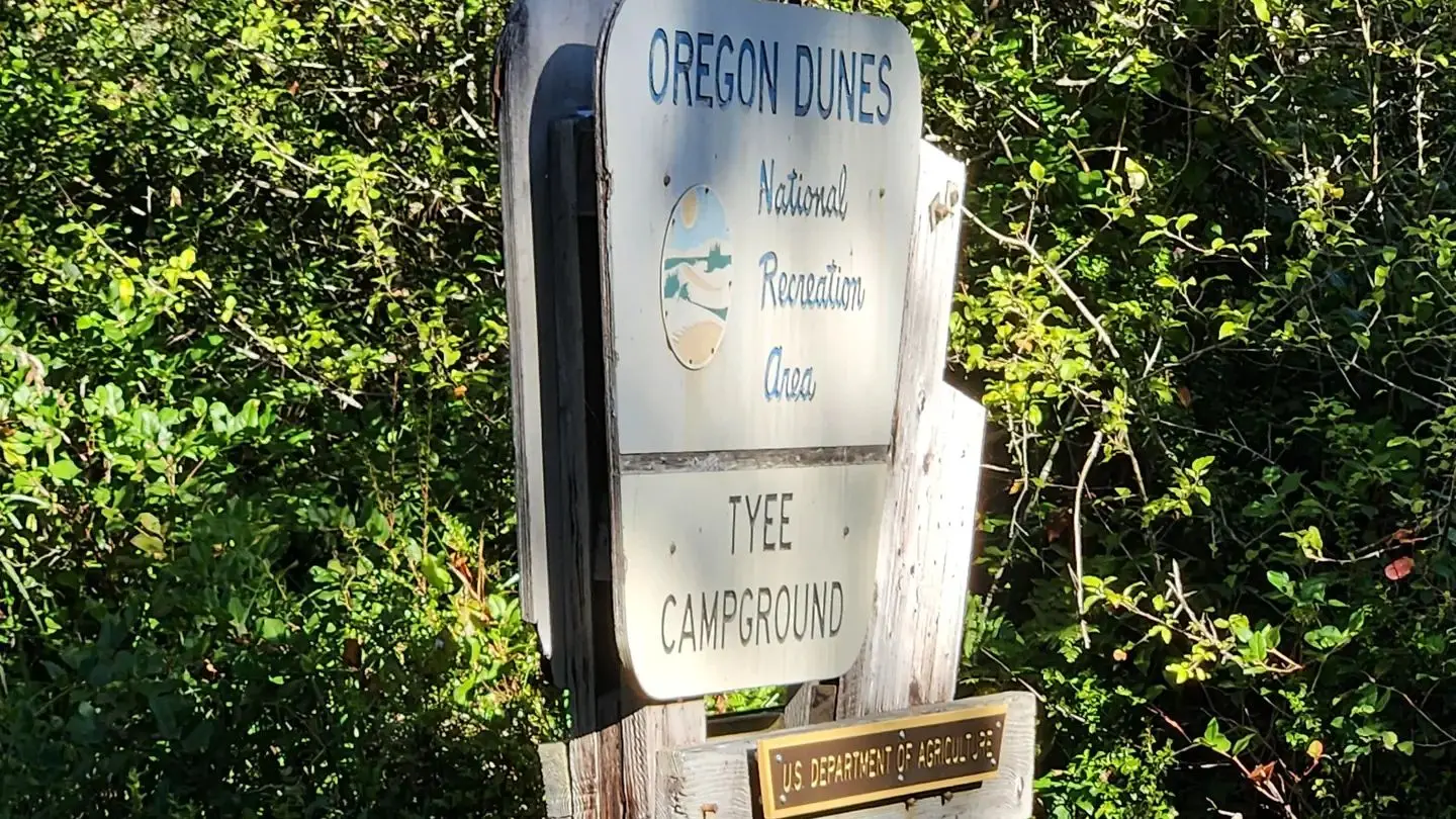 Paved boat ramp flanked by shrubs on the shore of a still, green waterway.