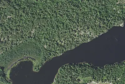 Camp site
