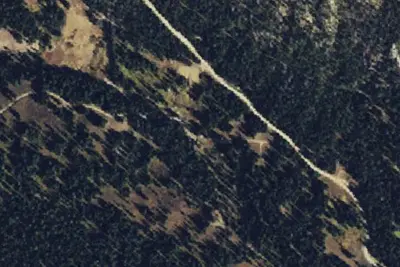 Miller-002