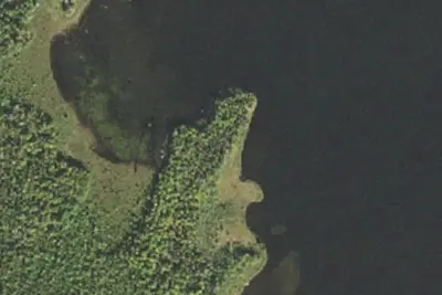 Camp site