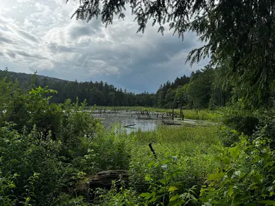 Shackham Pond, Morgan Hill, NY