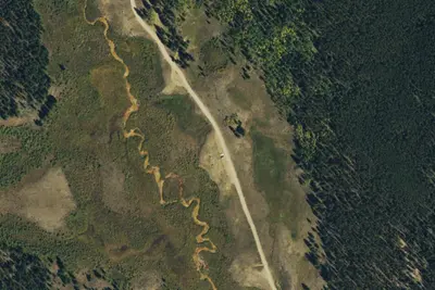 Designated Campsite