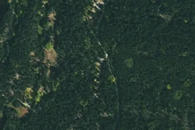 Camp site