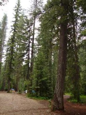 Grouse Creek Group Site