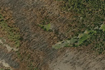 Barker Camp