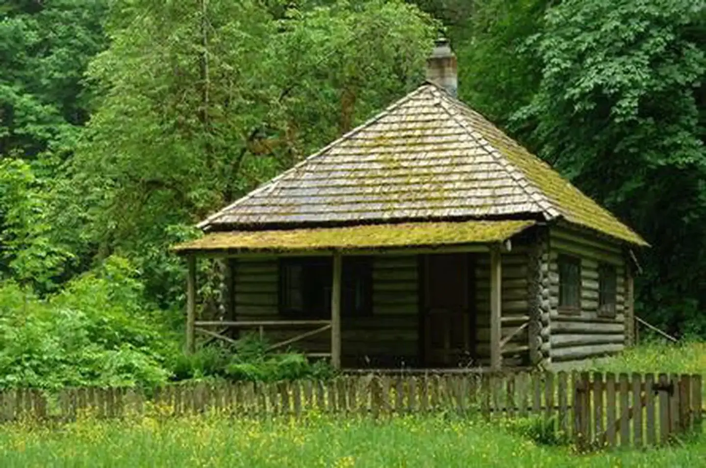 Log cabin with covered front porch in front of forest.