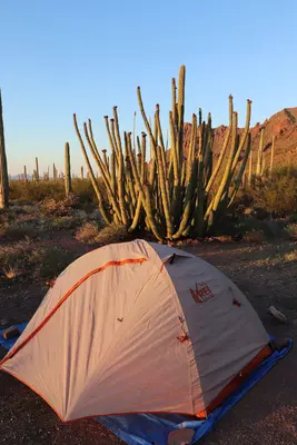 Campsite in Alamo Canyon Primitive Campgrouind (49294339317)