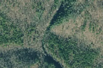 Camp site