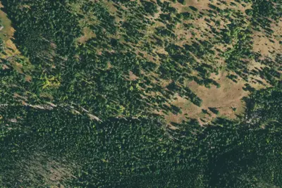 U.S. Forest Service Site 4