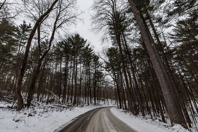 Winter Road - Interstate State Park, Wisconsin (39102377941)