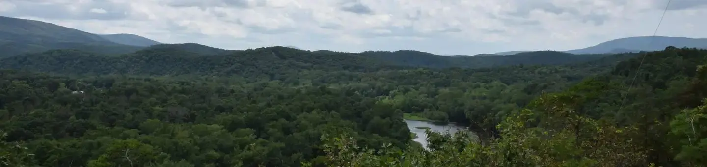 Potomac River near 15 Mile Creek