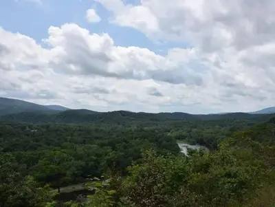Potomac River near 15 Mile Creek