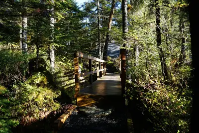 Cabin Bridge