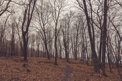 Hiking Trail at Frontenac State Park (32914112953)