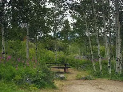 Narrows Campground