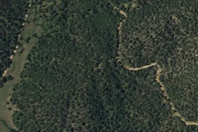 TP Camp Site