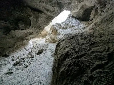 Anza-Borrego Desert State Park (2025) 174