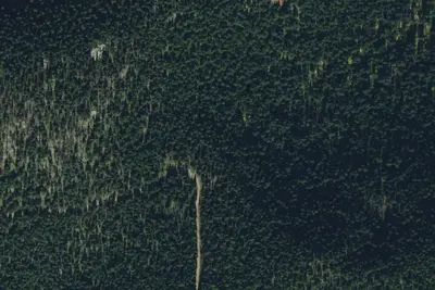 Camp site