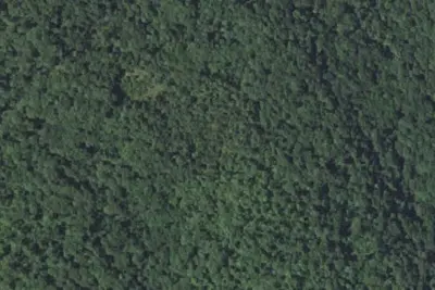 Camp site